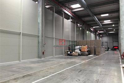 Depozit/hala/spatiu industrial Mogosoaia - Centura, Ilfov - 15