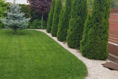 Casă cu 5 camere cu Teren 500 Mp în Mărăcineni - 8