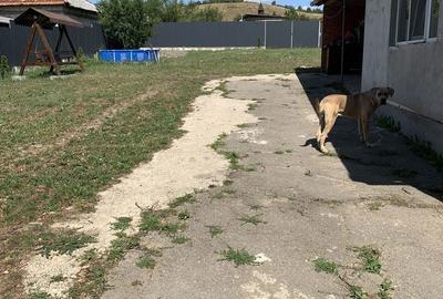 Casă cu 2 camere în Central - 2