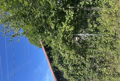 Casă cu 5 camere cu Teren 1939 Mp în Talea - 4