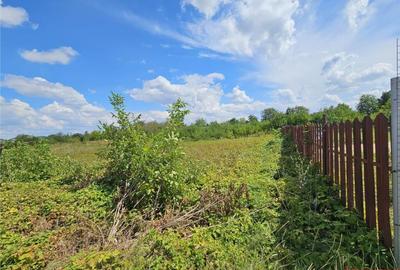 Teren intravilan, 2 loturi de 680mp, Serbanesti - 3