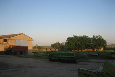 Teren intravilan 15.000 mp cu 3 hale industriale - Poarta Alba - 12