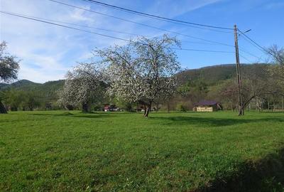 Teren Intravilan  in Luncoiu de Jos, Jd Hunedoara Teren Intravilan  in Luncoiu de Jos, Jd Hunedoara - 3