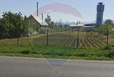Teren Construcții intravilan de 4076 mp, în Sarasău - 3