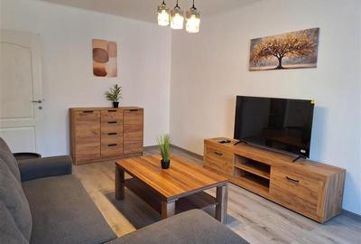 Apartament cu 2 camere decomandat în Podul de Fier - 3