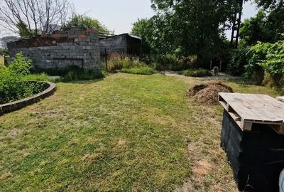 Casă cu 6 camere în Torontalului