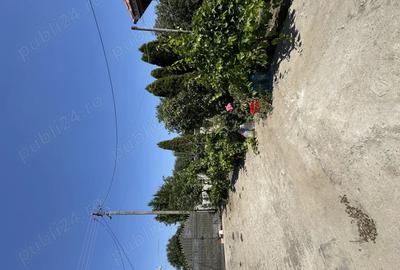 Casa de vanzare in sat Pietreni , jud Constan?a - 7