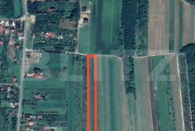 Teren de 8575 mp, în Viile Satu Mare