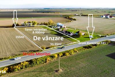 Teren de 8000 mp, în Botiz - 10