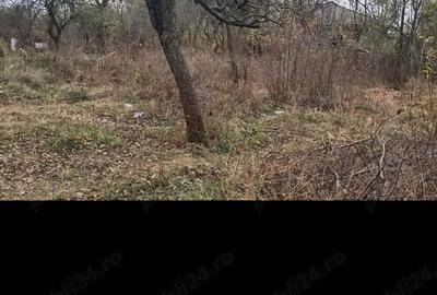 Casă cu 4 camere în Mătăsaru - 1