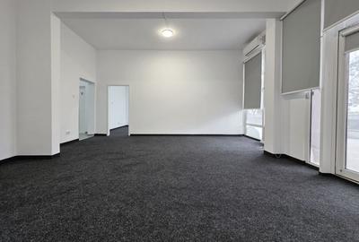 FALEZA NORD – 192 MP UTILI, IDEAL MAGAZIN, BIROURI, CABINETE MEDICALE! - 2