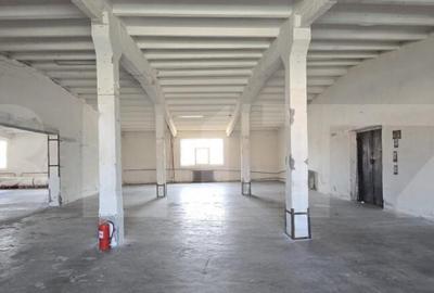 Hala produc?ie/depozitare, de vanzare, 2600 mp, zona Bari - 17