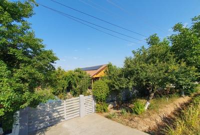 Casă individuală cu 5 camere cu Teren 822 Mp în Brâncoveanca - 6