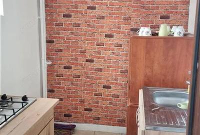 Apartament cu 2 camere semidecomandat în Petrișor - 6