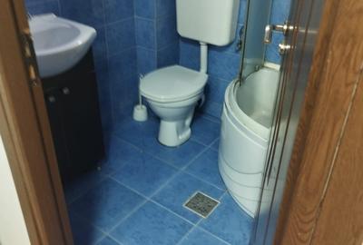 Gorjului -Militari, garsoniera in vila, centrală proprie - 10