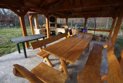 Proprietar vand casa de vacanta in Muntii Poiana Ruscai - 7