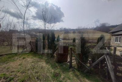 Teren 300 mp + Cabana,zona Livezile,Valea Lunga - 10