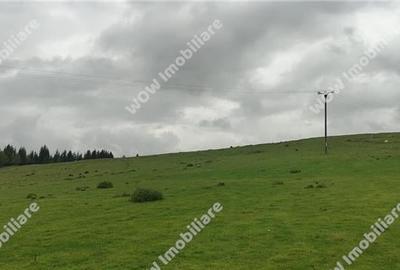 De vanzare teren intravilan 673 mp in Paltinis - 2