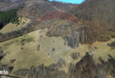 Teren de 16466 mp, în Desești - 13