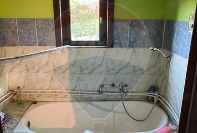 Casă cu 3 camere cu Teren 5472 Mp în Breb - 9