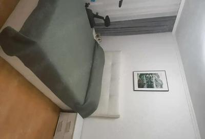 Apartament cu 3 camere decomandat în Lipovei - 7