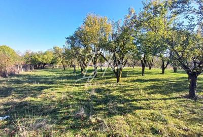 Parcelele cu cele mai bune preturi din judet - 3