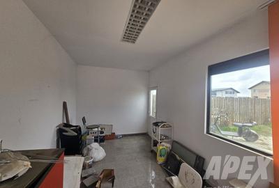 Spatiu Comercia 144 m | Teren 400 m | Clinceni- Domnesti - 12