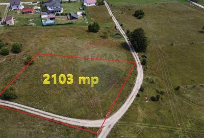 Teren 2,103mp Lepsa / Strada Zimbrului