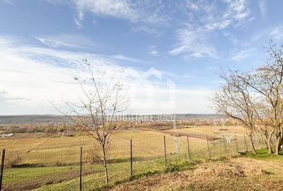 Casă individuală cu 4 camere cu Canalizare în Jucu de Sus - 22