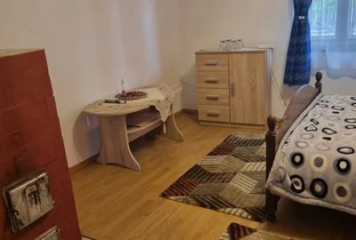 Casa de vanzare la tara - 4