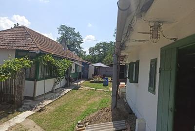 Casă individuală cu 3 camere cu Teren 1800 Mp în Vlădeni (Corlăteni) - 6