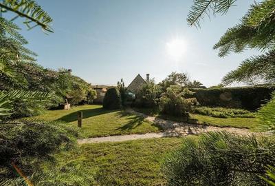 Refugiu de poveste în Grânari - 1