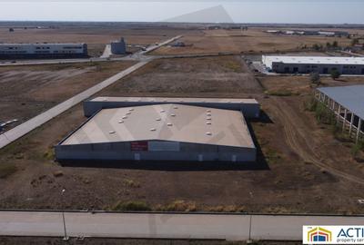 Inchiriere sau vânzare hală Banat Business Park - 3