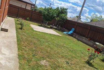 Casă individuală cu 3 camere cu Canalizare în Mihail Kogălniceanu - 6