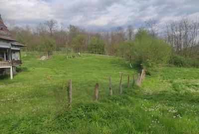 Casă cu Teren 1450 Mp în Izvoru (Valea Lungă) - 3