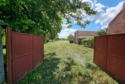 Teren de 2500 mp, în Exterior Vest - 3