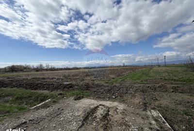 Teren de 9431 mp, în Garoafa - 3