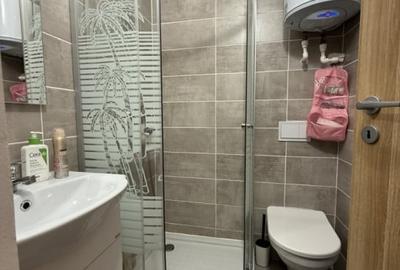 Garsoniera practica, 17 mp, mansarda - Lipovei - 4