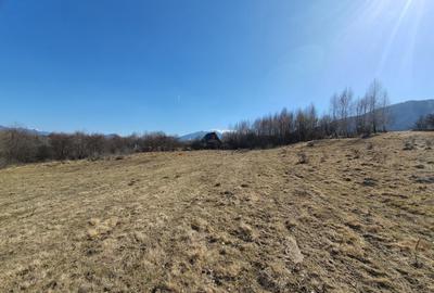 Teren Construcții intravilan de 480 mp, în Bran - 1