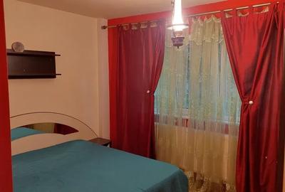 Apartament cu 2 camere semidecomandat, mobilat în Podu Roș - 8