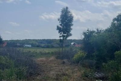 Teren de 13518 mp, în Marginea - 3