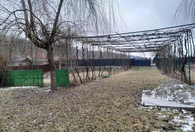 Casă cu 2 camere în Central - 7