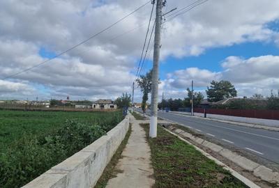 Teren Construcții intravilan de 6732 mp, în Mihai Viteazu - 6