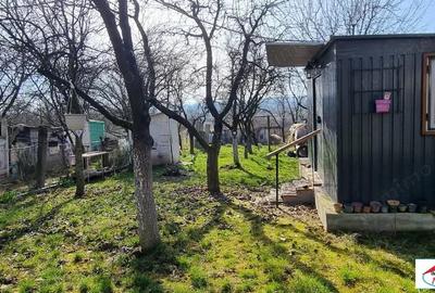 Teren de 1996 mp, în Viile Satu Mare - 6