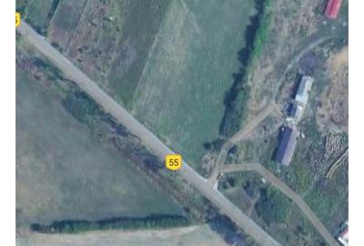 Teren de 6700 mp, în Cernica - 2