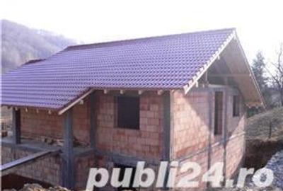 Casă cu 6 camere cu Teren 6000 Mp în Pietreni - 9