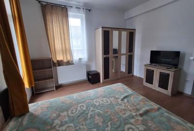 Apartament cu 2 camere semidecomandat, mobilat în Turnișor - 2