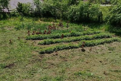 Casă cu 3 camere cu Teren 10300 Mp în Ghercești - 8