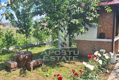 Casa individuala in Ianova,Comuna Remetea Mare - 8