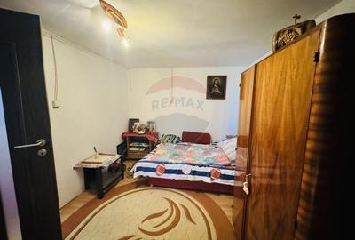 Teren Construcții intravilan de 6210 mp, în Apateu - 8